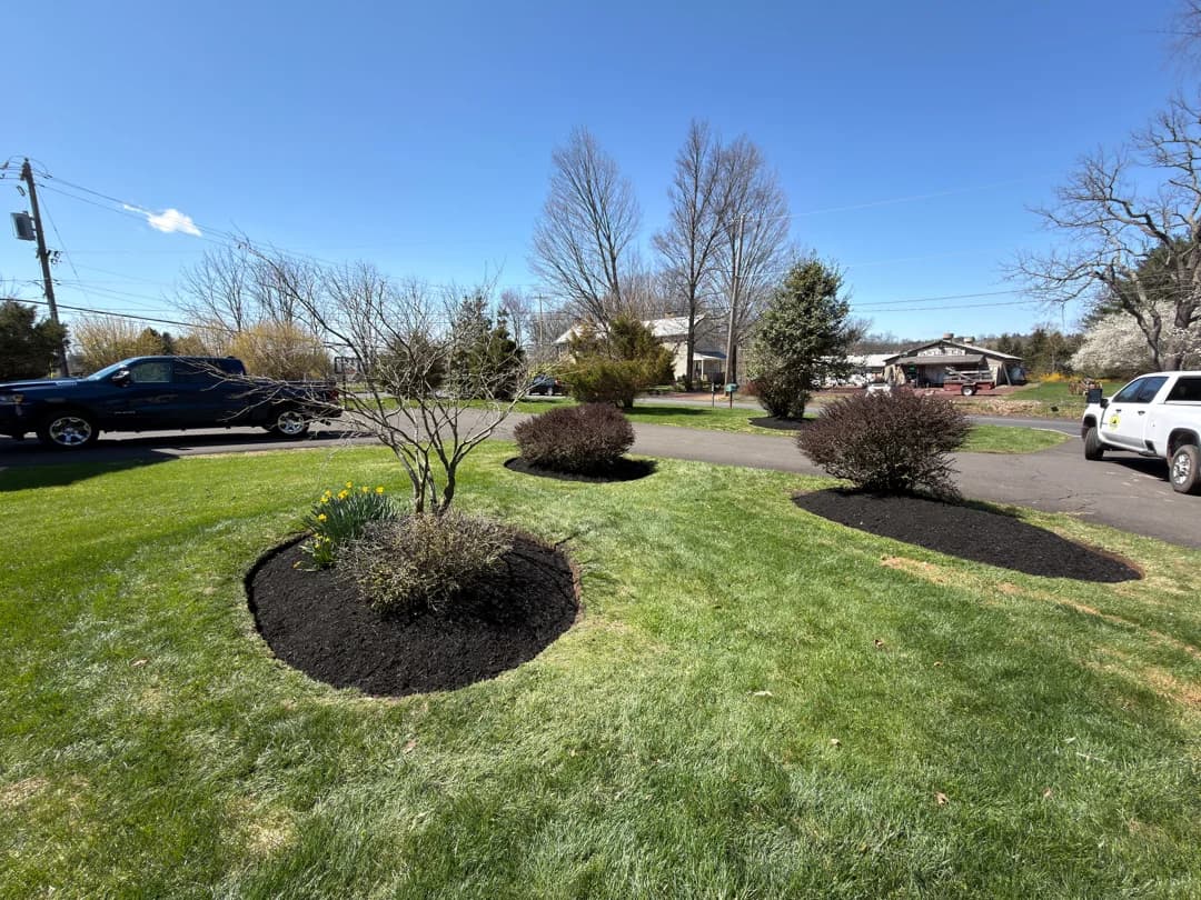 Two crisp circular shrub islands of fresh black mulch on an open front lawn — instant curb appeal.