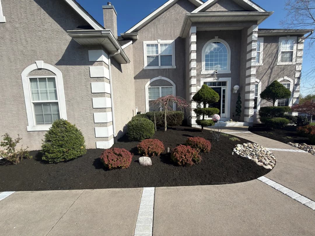 Stucco-home front entry beds packed with ornamental shrubs and freshly installed black mulch.
