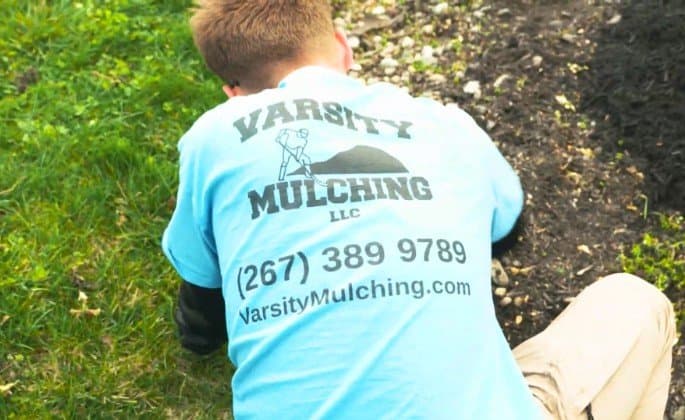 Professional Weed Control in Doylestown, PA