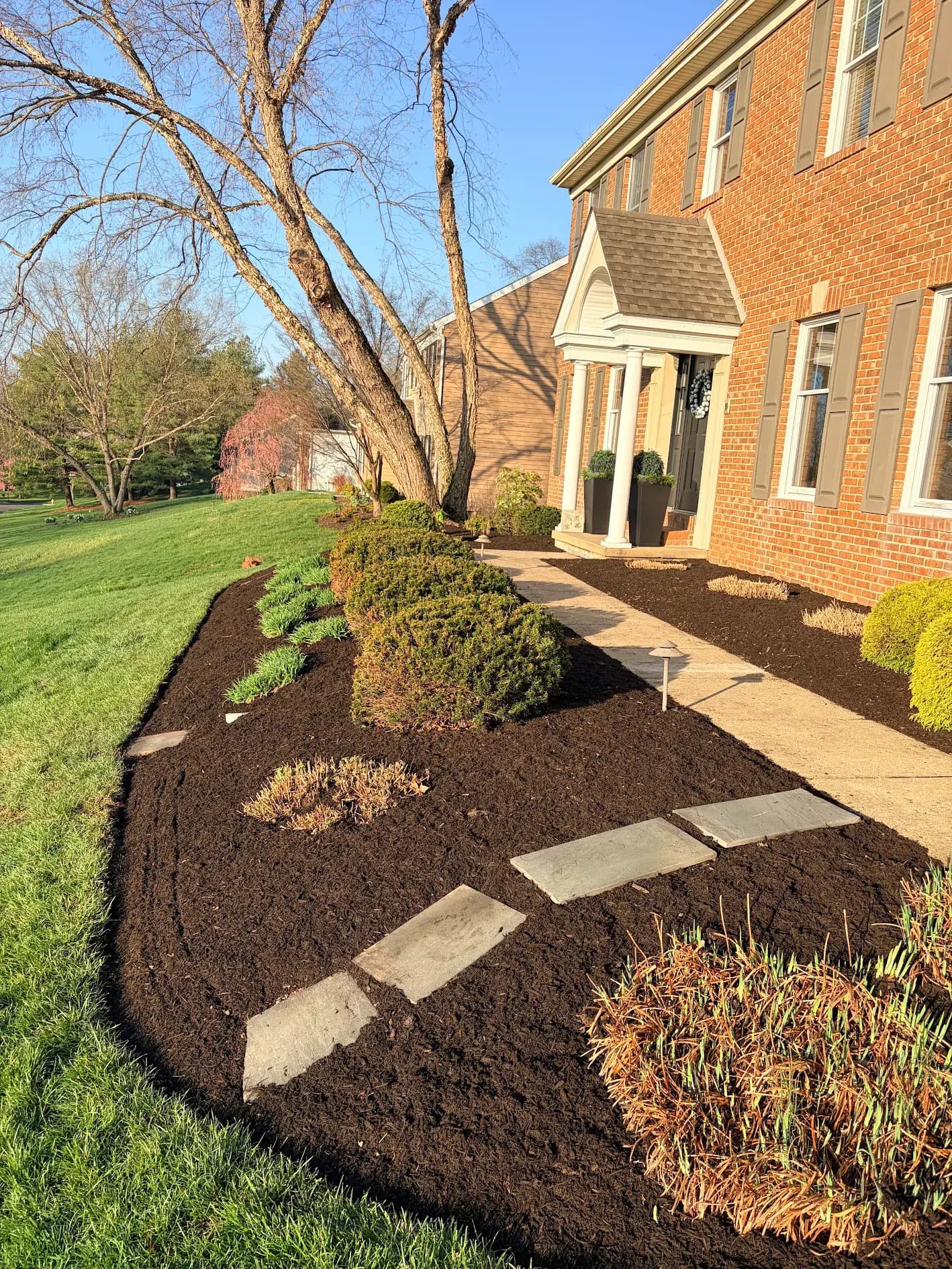 Work completed for Scott Grezeszak